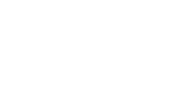 SCHMIDTWIRKUNG DESIGNSTUDIO Logo